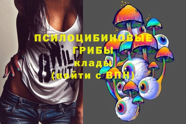 mix Алексин