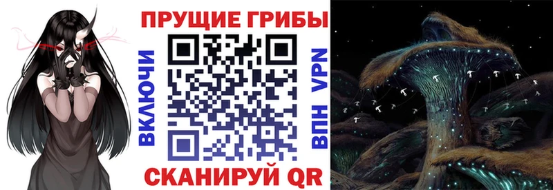Галлюциногенные грибы Psilocybe  Разумное 