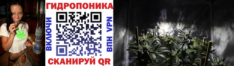 Каннабис план  Разумное 